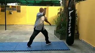 Shaolin Kungfu Heavy Bag work using Chuai Tui  side kick, Bian Tui  Round hou