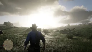 Red Dead Redemption 2 | Lenovo Legion 5 | RTX 3060 | Ryzen 7 5800H | 1080p MAX | 130W TGP | 16GB RAM