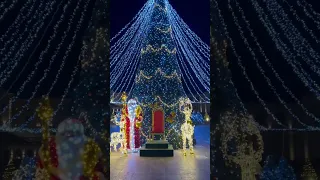 Christmas market with lights at Mimi Castel Winery, Bulboaca Moldova