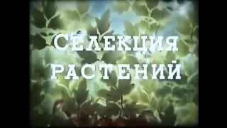 Селекция растений