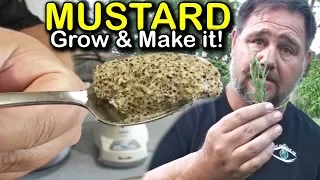 How to Make Homegrown Homemade Mustard