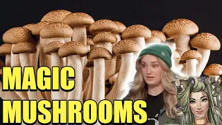 Fearne Tries Magic Mushrooms | Critical Moments Campaign 3