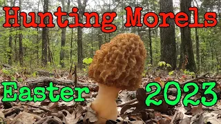 How to find Morel Mushrooms. Easter 2023.