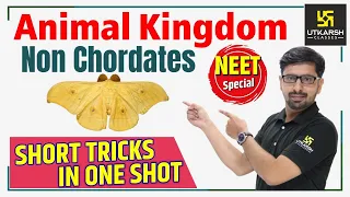 Animal Kingdom (Non Chordates) | Hindi Medium | Short Tricks | Biology | By Surendra Sir