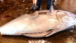 Sharpest Knife Fastest Cutting Skills Bluefin Tuna Cut Quickly in 3 Minutes