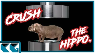 Easiest Way to CRUSH the Hippopotamus Defense! (And how to stop it)