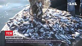 Через потужний сніговий шторм у Греції загинули тисячі риб | ТСН Ранок
