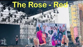 The Rose 🌹 - Red (Lollapalooza India 2024, K-Pop)