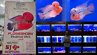 Flowerhorn Festival First Time in India at Aquarium Prime Fish Shop