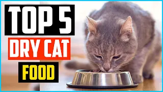 ✅Top 5 Best Dry Cat Food Review in 2024