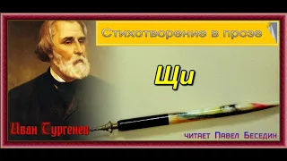 Щи  —Иван Тургенев  —Стихотворение в прозе —читает Павел Беседин