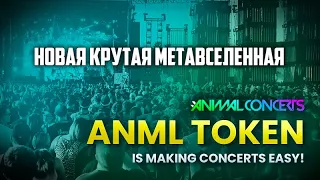 ANIMAL CONCERTS ЭТО НОВЫЙ SANDBOX ?