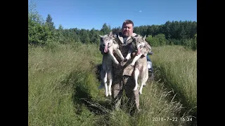 Тагильские лесовики едут к отшельники и гору целовальникова !