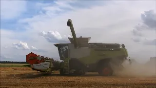 Claas Lexion x 5 -pszenica z JurAgro