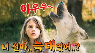 A touching true story! What happens when you raise a real wild wolf at home thinking it's a puppy...