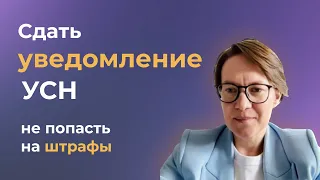 Как отправить уведомление на УСН в налоговую через личный кабинет быстро