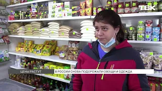 В России подорожали мясо и овощи: это рекордный рост цен за последние 4 года