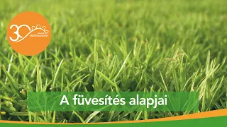 MMG - A füvesítés alapjai