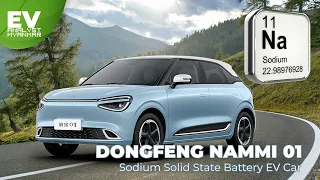 2024 Dongfeng Nammi 01 (Full Review)  Sodium Solid State Battery EV Car