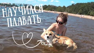 🐶Первый раз на море С СОБАКОЙ! ВЕЛЬШ КОРГИ❤️️