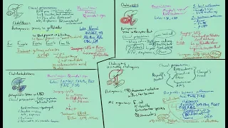 Cholelithiasis vs. Cholecystitis vs. Choledocholithiasis vs. Cholangitis (Full)