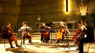 Montenegro Summer Camp for Chamber Music 2016: Intermezzo