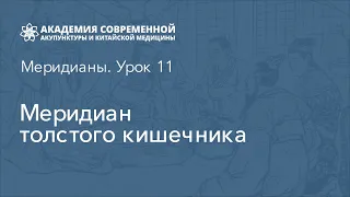 Меридиан толстого кишечника. Дистанционный курс рефлексотерапии. Онлайн Академия акупунктуры Акумед.