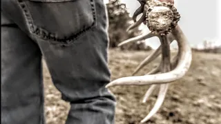 Top 5 Locations To Find A Shed Antler