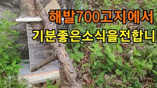 #풍달구가처음받아보는토종벌#산벌#토종벌#덕유산#풍달구