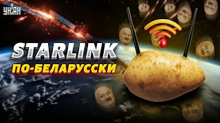 Лукашенко стал посмешищем. Новая выходка взорвала сеть! Таракан эпично опозорился
