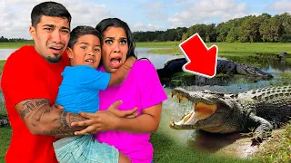 Alligator Attacked Us!