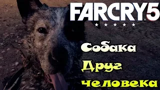 ТЫКВЕННАЯ ФЕРМА РЕЙ РЕЙ FAR CRY 5 #3 Прохождение ФарКрай 5 Собака друг человека