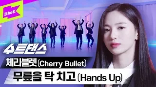 체리블렛 언니들…수트까지 잘 어울리는건 반칙아닌가요😮 | Cherry Bullet _ 무릎을 탁 치고(Hands Up) | 수트댄스 | Suit Dance