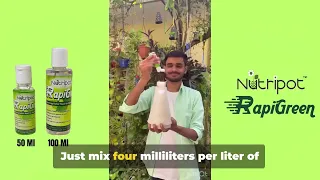 Hindi Revive Your Plants Rapigreen