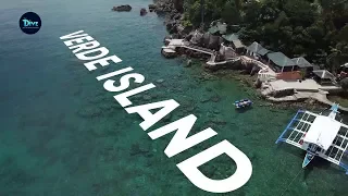 UNTV: THE DIVE | Explore the breathtaking underwater view of Verde Island