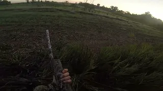 Opening Day Dove Hunt 2023 (Over 100 shots fired!!)