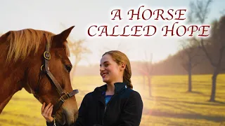 A Horse Called Hope | Classic Horse and Girl Story for The Whole Family