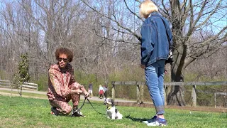 Out Of Control Dog Meets The Dog Daddy(Full video)