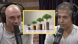 Joe Rogan and Naval Ravikant on Navigating Life | Wealth vs Status | The Greatest life lesson