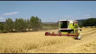 Cosechadora Claas Commandor 116 | AgroAnuncios.es