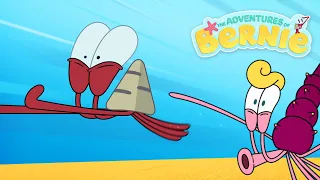 NEW The Adventures of Bernie 🔥 HIGH-SPEED CHASE💥 Zig & Sharko - Cartoons for Kids