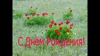 Походный День Рождения