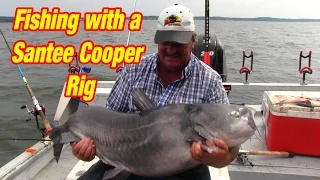 Use this FISHING rig to find and catch Giant Lake Catfish