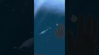 Face to Face with Sharks and Whales - Ocean Rift Mixed Reality