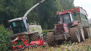 Le 1455 XL CHANTE AU PETIT MATIN D' ENSILAGE !🤠🌾🎼