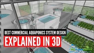 The Best Commercial Aquaponics System Design explained in 3D : 2020