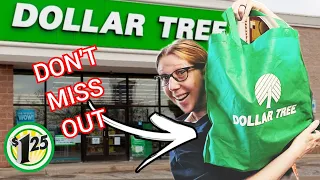 DOLLAR TREE | GREAT NEW ITEMS ONLY $1.25 | STOCK up Now