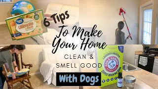 GETTING RID OF DOG ODOR | 6 WAYS TO MAKE YOUR HOUSE CLEAN AND SMELL GOOD WITH DOGS | CLEAN WITH ME