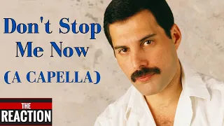 SQUIRREL Reacts to Don't stop me now- lead vocal only | Freddie Mercury | A capella Acapella