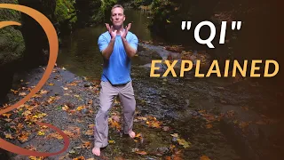 What is Qi (Chi)? Master Qi Gong Teacher Explains